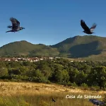 Casa Do Sobrado-gralhas-montalegre Vakantiehuis Gralhas