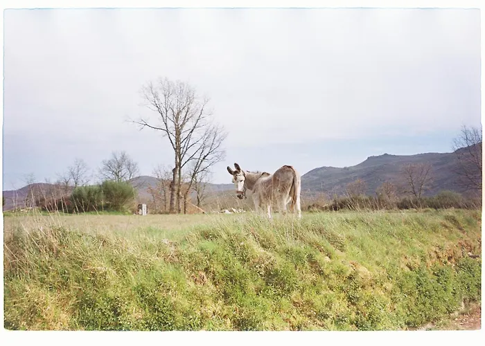 Casa Do Sobrado-gralhas-montalegre 別荘
