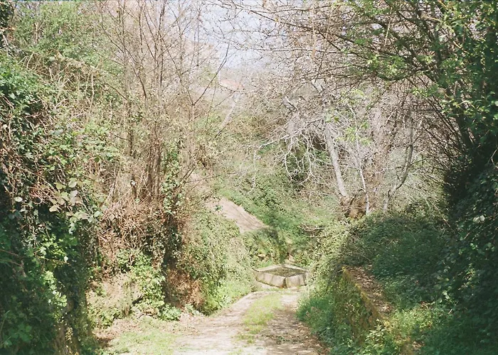 Casa Do Sobrado-gralhas-montalegre *