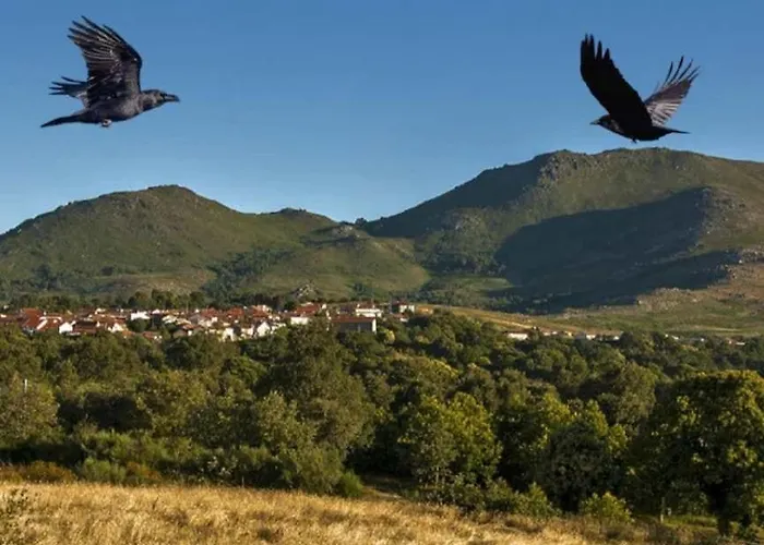 Casa Do Sobrado-gralhas-montalegre 別荘 Gralhas