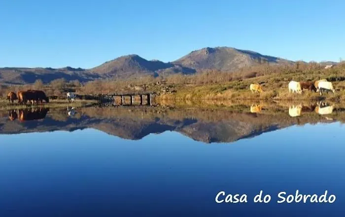 別荘 Casa Do Sobrado-gralhas-montalegre Gralhas